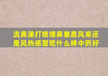 流鼻涕打喷嚏鼻塞是风寒还是风热感冒吃什么样中药好