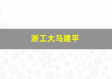 浙工大马建平