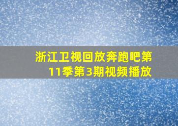 浙江卫视回放奔跑吧第11季第3期视频播放