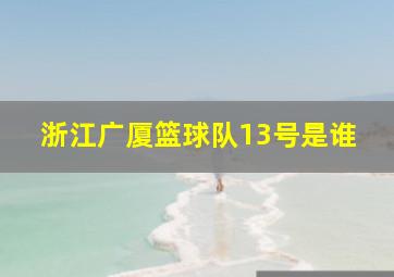 浙江广厦篮球队13号是谁