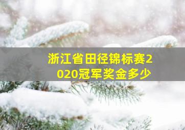 浙江省田径锦标赛2020冠军奖金多少