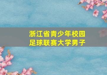 浙江省青少年校园足球联赛大学男子