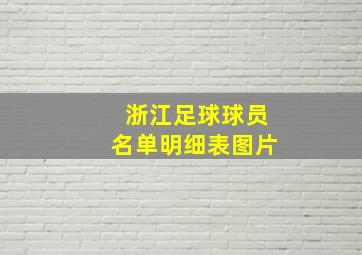 浙江足球球员名单明细表图片