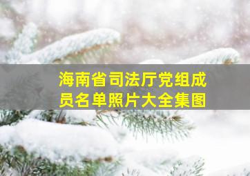 海南省司法厅党组成员名单照片大全集图