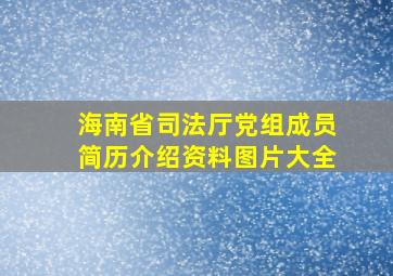 海南省司法厅党组成员简历介绍资料图片大全