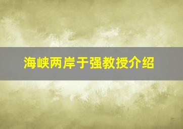 海峡两岸于强教授介绍