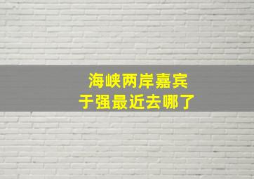 海峡两岸嘉宾于强最近去哪了