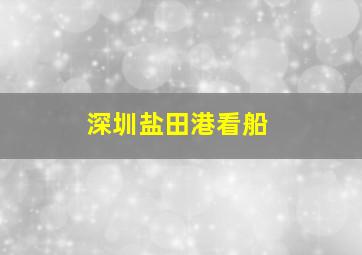 深圳盐田港看船