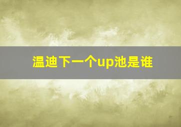 温迪下一个up池是谁