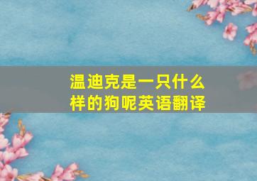 温迪克是一只什么样的狗呢英语翻译