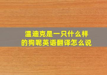 温迪克是一只什么样的狗呢英语翻译怎么说