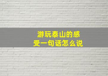 游玩泰山的感受一句话怎么说