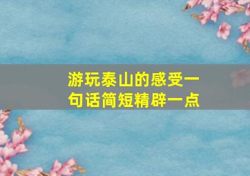 游玩泰山的感受一句话简短精辟一点