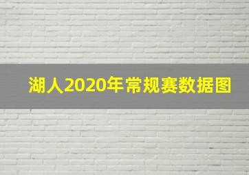 湖人2020年常规赛数据图