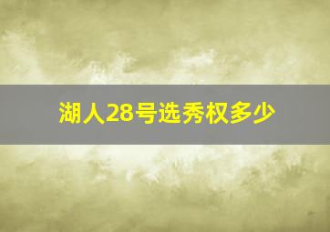 湖人28号选秀权多少