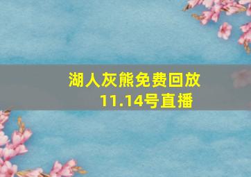 湖人灰熊免费回放11.14号直播