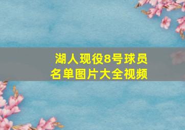 湖人现役8号球员名单图片大全视频