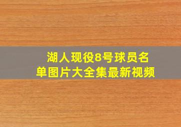 湖人现役8号球员名单图片大全集最新视频