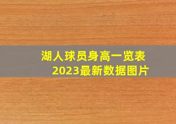 湖人球员身高一览表2023最新数据图片