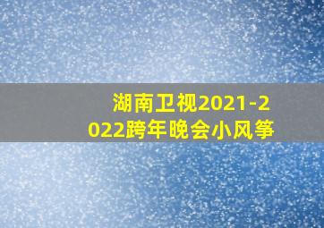 湖南卫视2021-2022跨年晚会小风筝