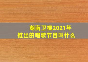 湖南卫视2021年推出的唱歌节目叫什么