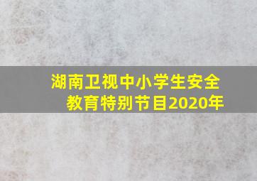 湖南卫视中小学生安全教育特别节目2020年