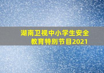 湖南卫视中小学生安全教育特别节目2021