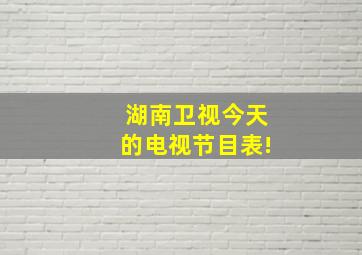 湖南卫视今天的电视节目表!