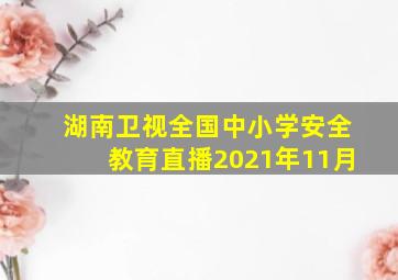 湖南卫视全国中小学安全教育直播2021年11月