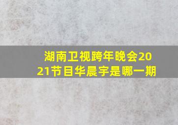 湖南卫视跨年晚会2021节目华晨宇是哪一期