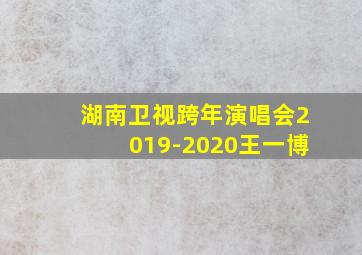 湖南卫视跨年演唱会2019-2020王一博