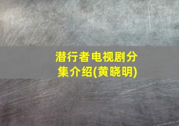 潜行者电视剧分集介绍(黄晓明)