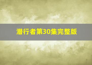 潜行者第30集完整版