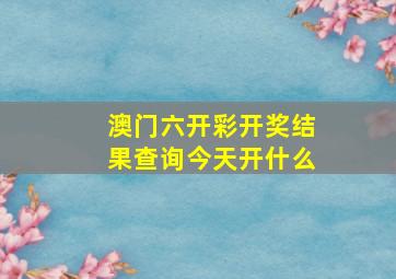 澳门六开彩开奖结果查询今天开什么