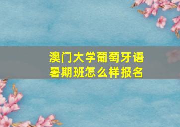 澳门大学葡萄牙语暑期班怎么样报名