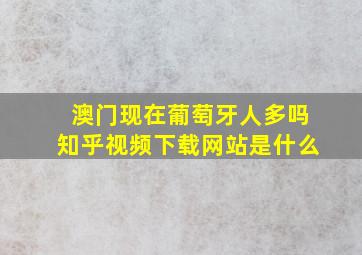 澳门现在葡萄牙人多吗知乎视频下载网站是什么