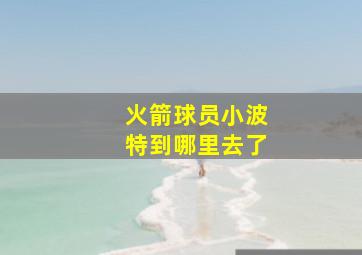 火箭球员小波特到哪里去了