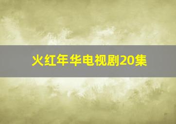 火红年华电视剧20集