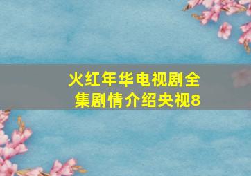 火红年华电视剧全集剧情介绍央视8