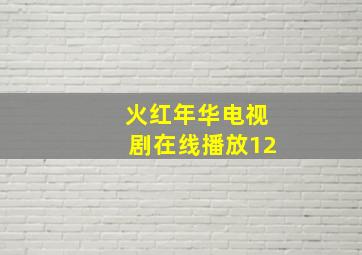 火红年华电视剧在线播放12