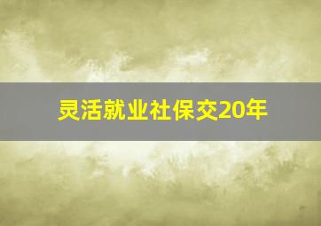 灵活就业社保交20年