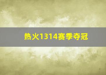 热火1314赛季夺冠