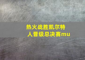 热火战胜凯尔特人晋级总决赛mu