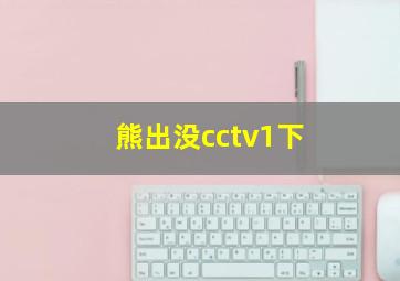 熊出没cctv1下