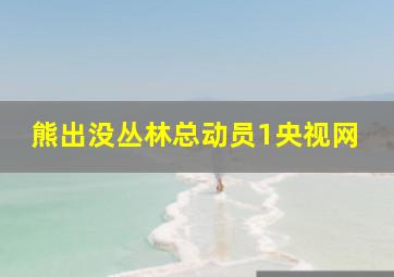 熊出没丛林总动员1央视网