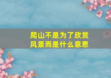 爬山不是为了欣赏风景而是什么意思