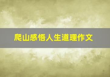 爬山感悟人生道理作文