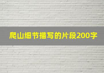 爬山细节描写的片段200字