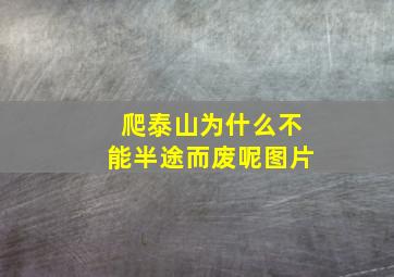 爬泰山为什么不能半途而废呢图片