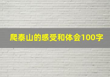 爬泰山的感受和体会100字